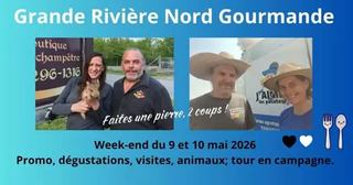 Image promotion Le Rieur Sanglier