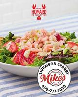 Image promotion Toujours Mikes