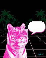 Image promotion Arcade Tropicale - Saint-Eustache