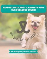 Image promotion Pattes et Griffes