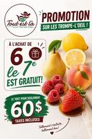 Image promotion TOUT EST LA TOUT EST FRAIS