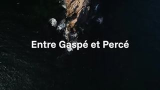 Image promotion Nordet
