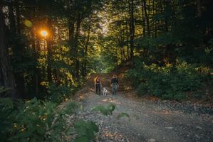 Image promotion Restaurant Les 4 Canards