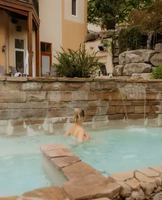 Image promotion Restaurant Les 4 Canards