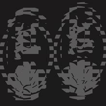 Beni Hana Cuisine Japonaise