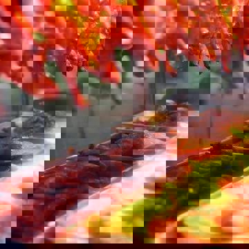 Restaurant Dobe & Andy