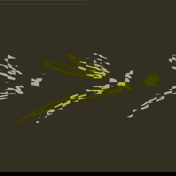 La Libellule resto convivial