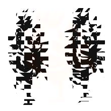 Des Cantons - Microbrasserie