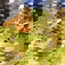 George Le Roi Du Sous-Marin Vaudreuil