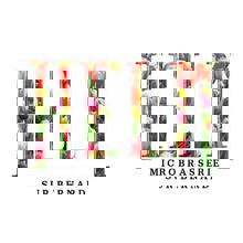 HELM - Microbrasserie sur Bernard