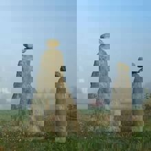 Amis du Patrimoine de St-Venant-de Paquette (Les)