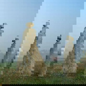 Amis du Patrimoine de St-Venant-de Paquette (Les)