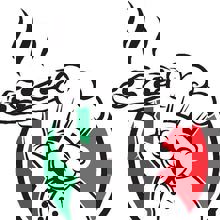 Restaurant Carlos Pizzeria