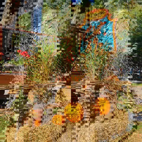 Restaurant C'est la Vie