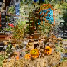 Restaurant C'est la Vie