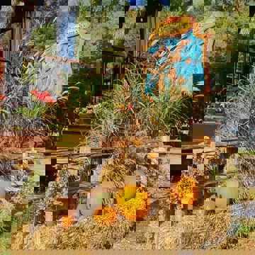 Restaurant C'est la Vie