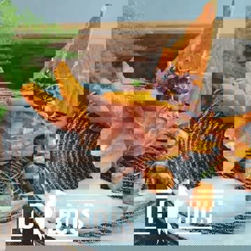 Pic Bois Bistro Terrasse