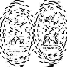 Le Secret des Dieux - Microbrasserie