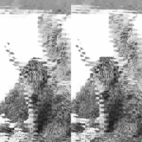 Vignoble GRANGE & restaurant