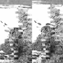 Vignoble GRANGE & restaurant