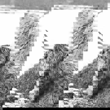 Vignoble GRANGE & restaurant