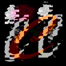 La Courbe Cuisine Créole