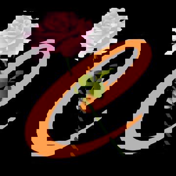 La Courbe Cuisine Créole