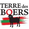Terre des Boers