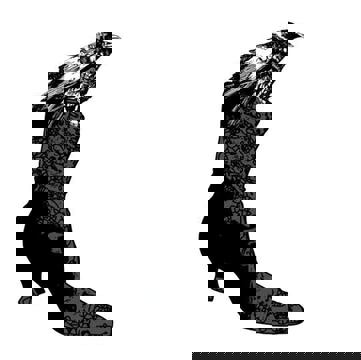 Thirsty Boot - 25 Chem. Bolton Pass