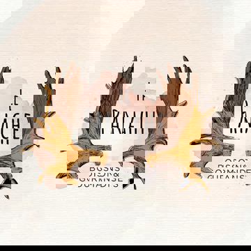 Le Panache boissons & gourmandises