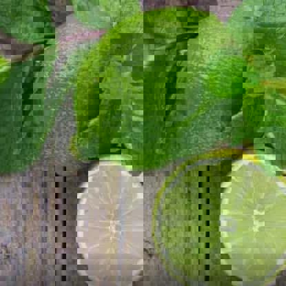 Citron Vert Café Resto