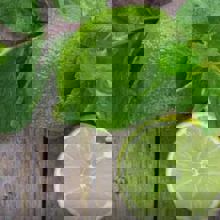 Citron Vert Café Resto