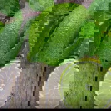 Citron Vert Café Resto