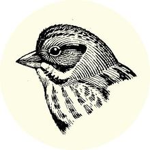 Restaurant Bar à Montreal - Le Sparrow