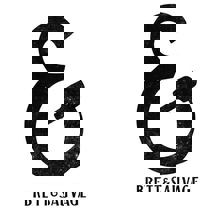 Brett & Sauvage - Nano-Brasserie