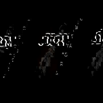 Ōdōri Comptoir Japonais