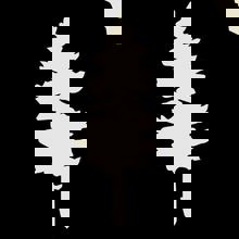 Trécarré Microbrasserie