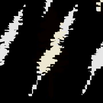 Trécarré Microbrasserie