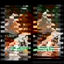 Restaurant Meule et Caquelon