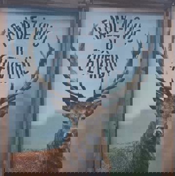 Rendez-Vous Du Chevreuil