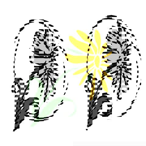 Café Sol - Coop de solidarité