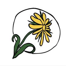 Café Sol - Coop de solidarité