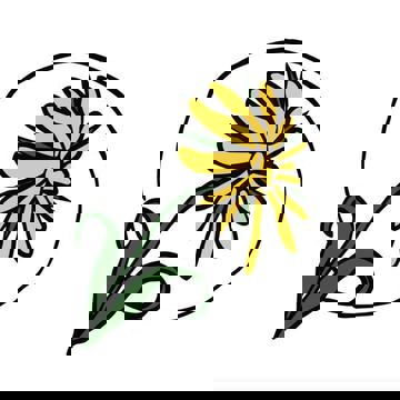 Café Sol - Coop de solidarité