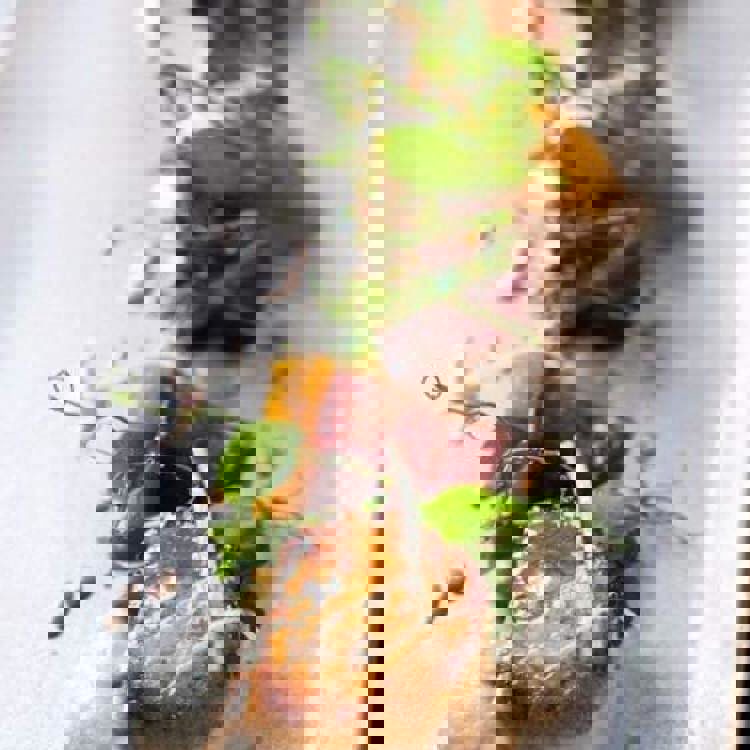 Resto la Grange par Apollo Giovanni