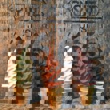 Casse-croûte Bar Laitier , Route 138