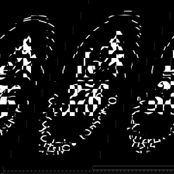 Le 376 - Charcuterie • Bistro