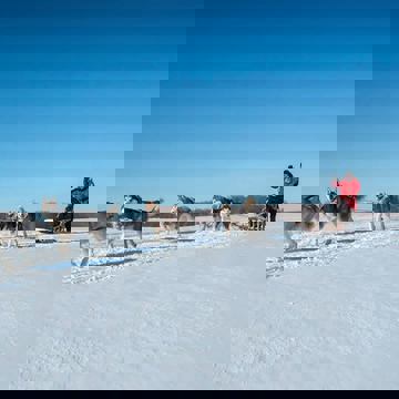 Randonnée Mïcklà et relais Mickla