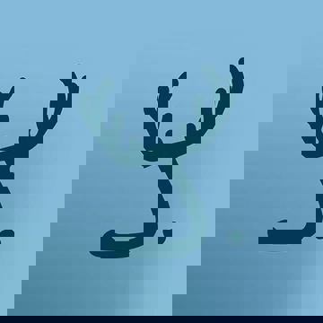 Jackalhop - Microbrasserie