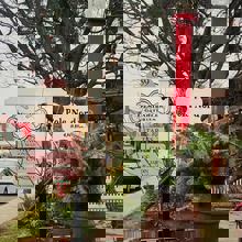 Désirables Gâteries