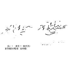 Mollies Café Dinette Buvette